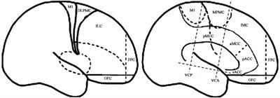 The Anatomo-Electrical Network Underlying Hypermotor Seizures